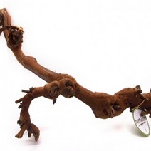 [바보사랑] 세틀 포도유목(브라운) (45~60cm), 상세 설명 참조