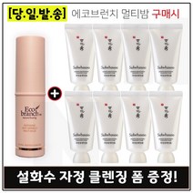 에코브런치 멀티밤 구매시 샘플 자정 클렌징 폼 30ml x8개 - 총 240ml, 1개