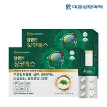 대웅생명과학 혈행엔 징코맥스 120정 4개월분 은행잎 추출물 혈행개선 기억력개선 영양제, 2개