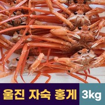 붉은대게 울진 자숙 박달 홍게 찜 3kg