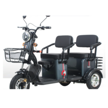 3인용전기자전거 강아지 어린이 패밀리 이동수단, 상세 페이지 참고, 고급형 블랙 골드 48V 패키지