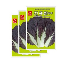 아시아종묘 배추씨앗종자 진홍쌈 배추(100립X3)