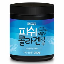 어류 피쉬콜라겐 가루 250g, 1개, 단품