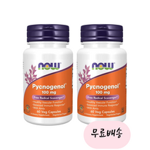[나우푸드]-M2-Now Foods 피크노제놀 100mg 60개입[[2통]], 60정, 2개, 60정