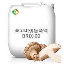 표고버섯농축액 20kg, 단품