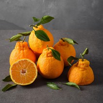 [자연맛남] 제주 고당도 한라봉 2.5kg (16과내외 벌크포장)