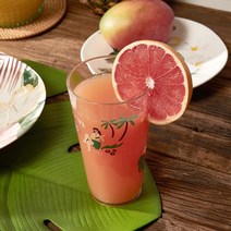 [모던하우스] 트로피컬하와이 아크릴 빅텀블러 600ml