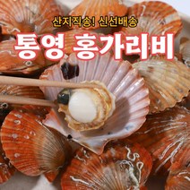 산지직송 통영 홍가리비 조개찜 조개구이, 통영 홍가리비 5kg