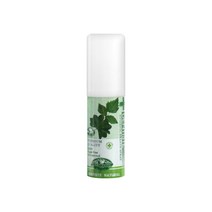 덴티스테 후레쉬 브레스 구강스프레이, 15ml, 6개