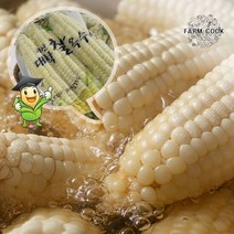 [팜쿡]괴산 삶은 대학찰옥수수 냉동 30개(팩당3개), 단품