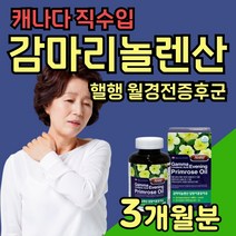 여성 pms영양제 감마리놀렌산 달맞이꽃종자유 생리전증후군 체지방 달맞이꽃유 감마리놀레산 감마리산 비타민E 추출물 월경전 증후군 중년 혈중 콜레스테롤 생리 식물성 30대 40대, 1박스(90일분)