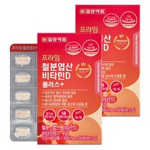 일양약품 프라임 철분 엽산 비타민D 플러스 90정 / 비타민B12 구리 함유, 2박스(6개월분)