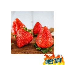 설향 딸기 생딸기 700g