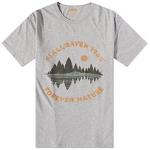 Fjallraven 포레스트 미러 티셔츠 - 그레이