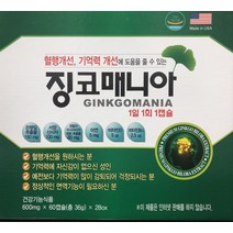 징코매니아 은행잎 혈행개선 콜레스테롤 60/120캡슐, 4개, 4개월 120캡슐, 120정