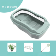 페닌슐라쿠터 커먼머스크 커먼머스크터틀 거북이분양 수생거북이 사육 그란데, 8.특대세트(민트)