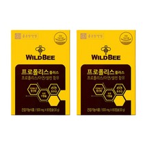 종근당건강 와이드 비 프로폴리스 플러스 아연 플라보노이드 항산화 영양제 60캡슐 2박스