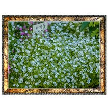 A193-4/안개꽃사진액자 A3 벽걸이액자 포토액자 꽃사진 벽장식 풍경화 풍경사진 풍경화그림, 안개꽃사진액자