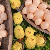 [왓위셀] 병아리 달걀 모형 봄 부활절 유치원 어린이집 소품, 07. 달걀병아리