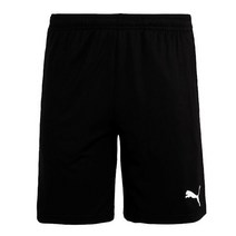 푸마 팀라이즈 트레이닝 쇼츠 반바지 65733603