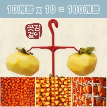 곶감100개건조 국산 DIY 곶감걸이(10개용)x10개, 1개