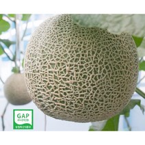 세지메론 고당도 머스크 세론이 멜론 11~13Brix 보통~특품 GAP인증 세지농협, 파랑박스(12Brix-상급) 1.25kg x 3통, 3개