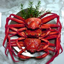포항 구룡포 자숙 연지 홍게 붉은 대게 택배 박달 라면용 3kg 5kg, 5.박달홍게 대(1마리 500g 내외)1마리