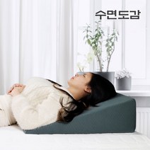 수면도감 위편한 역류성 식도염 베개 위산 역류방지 쿠션