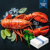 캐나다 프리미엄 자숙 랍스터 4.54kg 박스 바닷가재 랍스타 버터구이, 4.54kg 400-450사이즈 박스