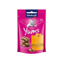 비타크래프트 캣얌 치즈 40g, 1