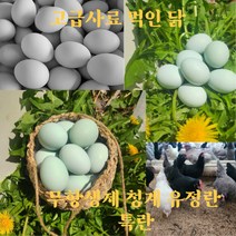 고급사료 먹인 청계 청란 유정란 20구 40구 난각번호 2번, 1개