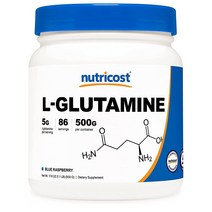 뉴트리코스트 L-Glutamine 엘 글루타민 5000mg 파우더 블루베리맛 500g 1팩, 1개, 정