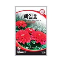 백일홍 100립 꽃씨앗 혼합종 한해살이풀 국화과, 1개