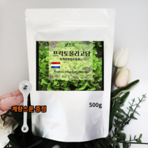 네덜란드 프락토올리고당 분말 신프리바이오틱스 유산균분양 갈락토올리고당 이눌린 500g, 1개, 상세페이지 참조