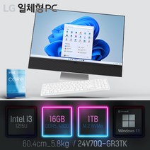 LG 일체형PC 24V70Q-GR3TK, 램16GB + SSD1TB