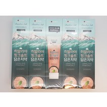 페리오 히말라야 핑크솔트 치약 160g x 5개 코스트코, 1팩