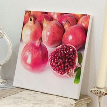 아트박스/꾸밈 ga729-캔버스액자30x30_풍수새빨간석류