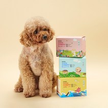 반려곳간 강아지 관절/눈/피부 영양제 프리미엄 트리플솔루션 3종 관절 백내장 루테인 염증 항산화 강아지영양제, S.I.A 피부영양제(피부/면역/항산화)