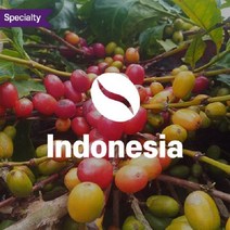 인도네시아 만델링 G1 10kg 아라비카 커피 생두 Indonesia Aceh Mandheling G1 Triple-Pick/유기농 organic, 1kg, 유기농 organic, 1개