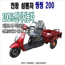씽씽200 전기 삼륜차 전동삼륜차 전동차 전동운반차 신일종합건조기