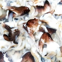 당일조업 손질 새조개 내장제거 1kg 특품 생산자직송
