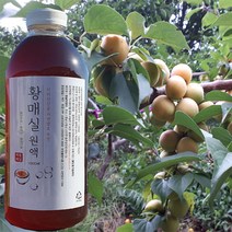 지리산산골 3년숙성 황 매실원액 1000ml 자연발효 숙성