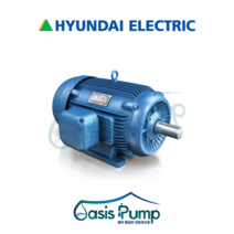 현대모터 0.75KW 1HP 2P 220/380V IE3 프리미엄 삼상유도전동기