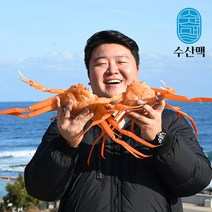 포항 구룡포 선주직송 제철 연지홍게 자숙찜 실속형 3kg, 상세페이지 참조, 상세페이지 참조