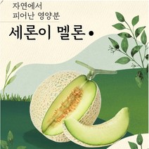 세지메론 세론이멜론 정품 나주메론 13brx 4수 노마진, 노랑박스(13브릭스)4수 한통