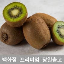 [특등급] 키위농장 키위효능 키위 그린키위 그린키위6KG 그린키위효능, 6KG