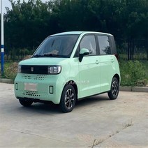 전기오토바이 충전식 충전 JIAKUMA-전기 자동차 5 개의 문 4 좌석 륜 차량 도시 스포츠 태양열 Suv, 02 JKM-H1