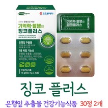 징코 플러스 진코 찡코 찐코 은행잎 추출물 영양제 식야처 인증 캡슐 넣는 알약 케이스 증정, 2개, 30정