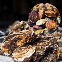 통영 횟감용 생굴 석화 굴 하프셀 석화구이 석굴 1kg 3kg 5kg 10kg 가리비 손질 횟감 용 1박스 사이즈 김장 찜용, 4-2. 석화 4kg+가리비 4kg