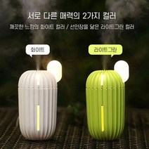 MY 네오투엠 838선인장가습기, 화이트